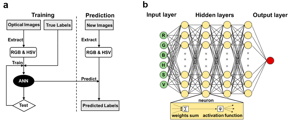 利用人工神经网络算法识别和表征原子级厚度材料