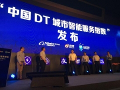 2015年中国DT城市智能服务指数研究报告