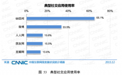 2015年个人互联网应用发展状况——社交应用