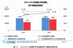 2015年个人互联网应用发展状况——团购