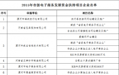 漯河12家电子商务企业16个项目获市级资金扶持