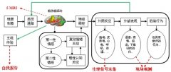 基于现场观测信息的群体情感计算技术进入应用阶段