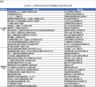 2018年人工智能与实体经济深度融合创新项目名单