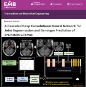 一种级联的深度学习网络用于脑干胶质瘤的自动化分割及基因预测