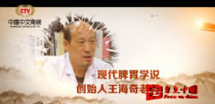 中国中文卫视 国医名师王海奇老师访谈