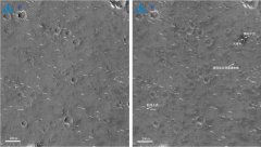 国家航天局发布中国首次火星探测天问一号任务着陆区域高分影像图